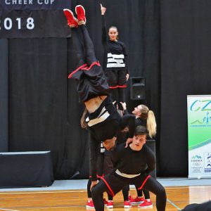 Gimnastika (7.+ let)